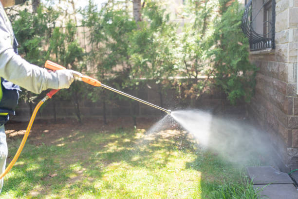 Best Organic or Eco-Friendly Pest Control  in Thompsonville, PA